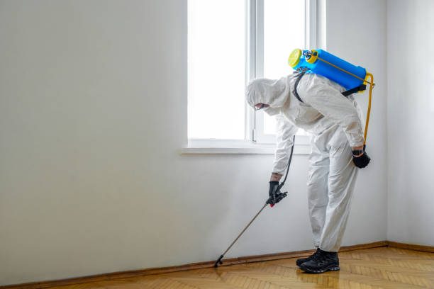 Best Emergency Pest Control  in Johnstown, PA